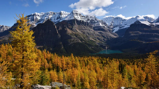 Übergang zum Herbst: So passt du deine Wanderausrüstung an